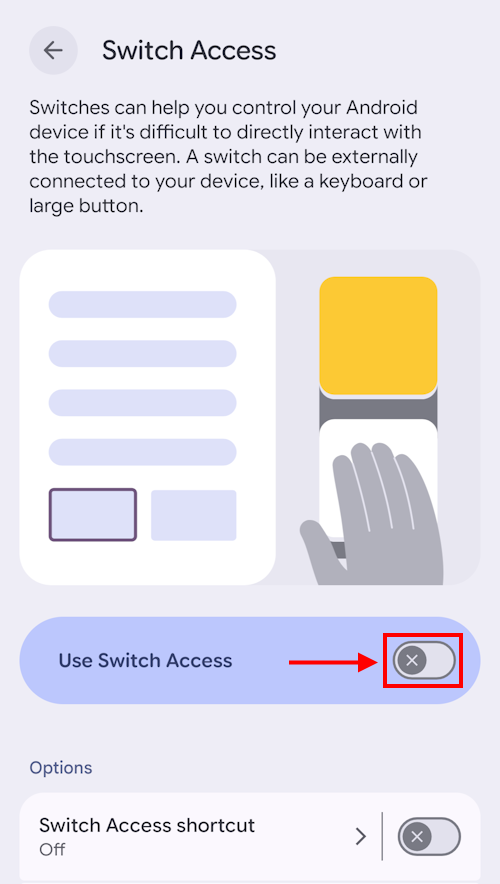 Tap the toggle switch for Switch Access to turn it on